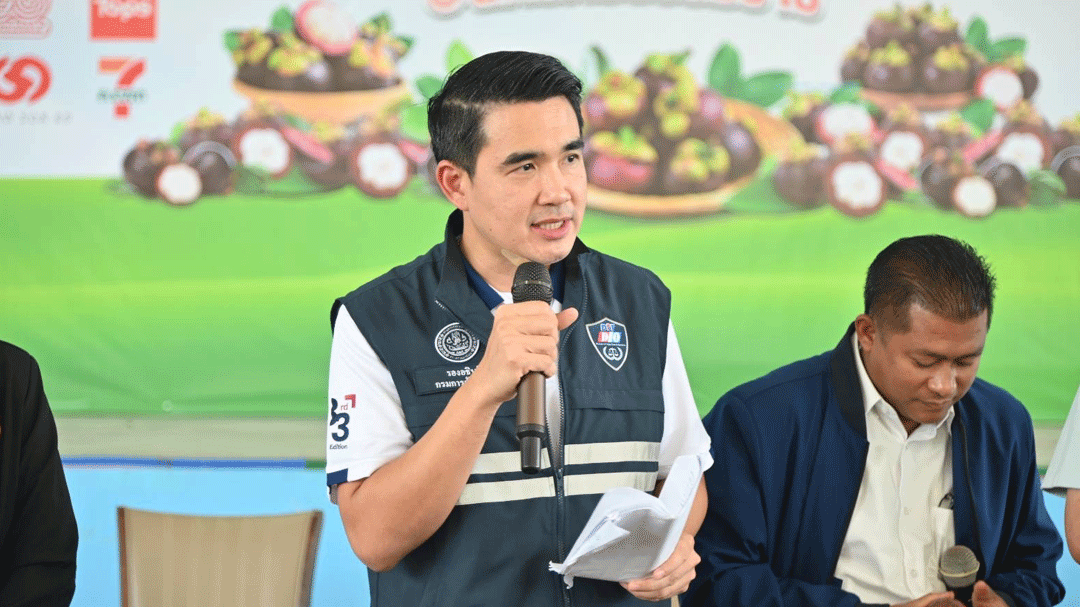 ‘พาณิชย์’แจงข่าวราคามังคุด ยันมาตรการเชิงรุก ดันราคาดีดตัวสูงทะลุกิโลละ 100 บาทจริง