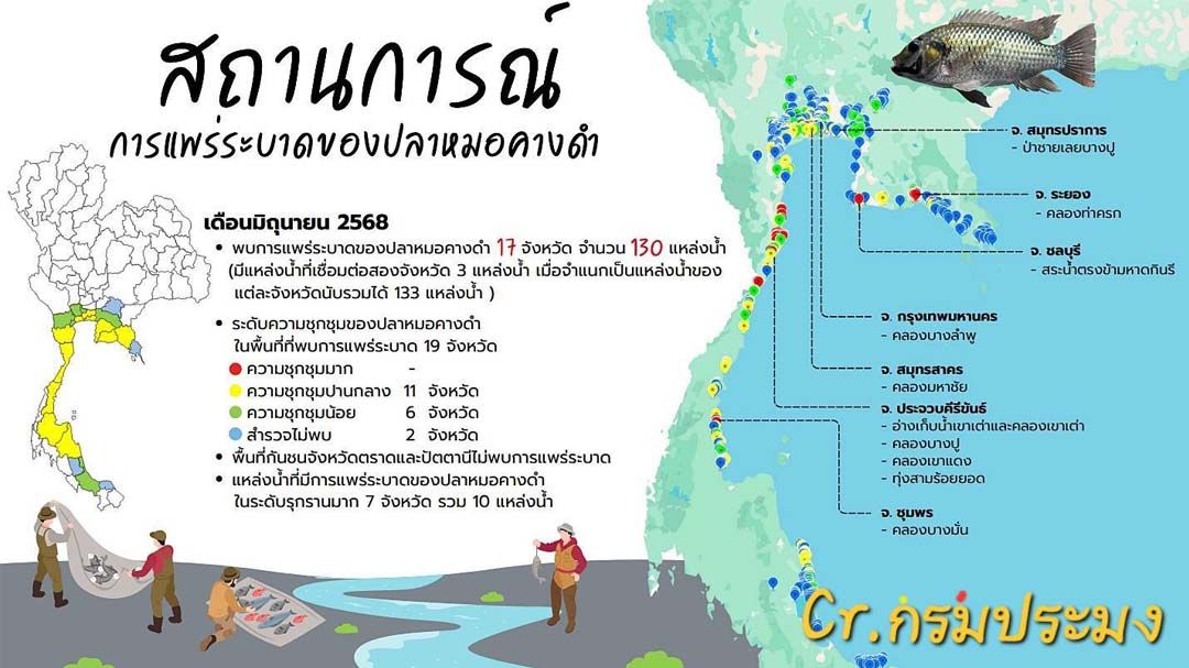 ‘ปลาหมอคางดำ’ยังขาดข้อมูลพื้นฐานสำคัญ นักวิชาการชี้ชดเชยต้องมีข้อมูลจากกรมสรรพากร