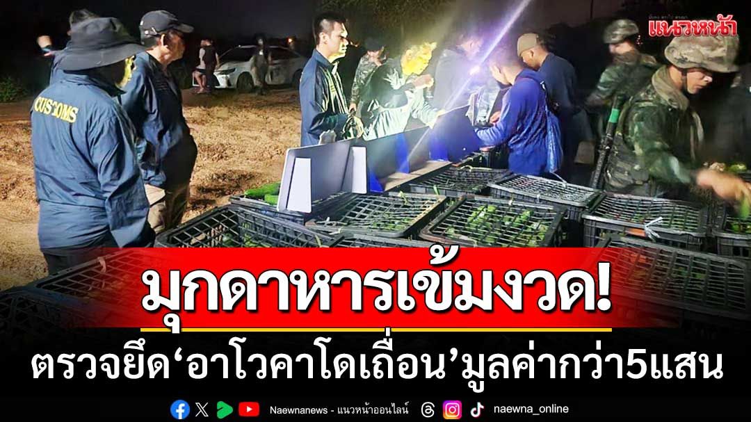 ศุลกากรเข้มงวด! ตรวจยึด 'อาโวคาโดเถื่อน' จำนวน195ลัง-มูลค่ากว่า5แสนบาท