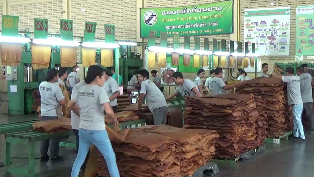 หอการค้าภาคใต้ เตือนเศรษฐกิจ อาจสะเทือน ราคายาง-ปาล์ม ตก
