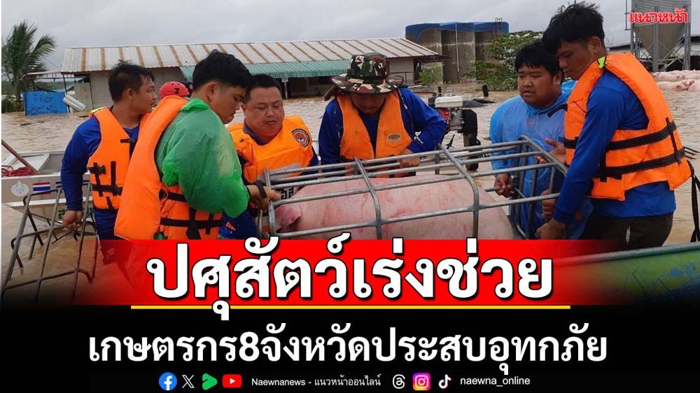 ปศุสัตว์ช่วยเกษตรกรพื้นที่น้ำท่วม8จัวหวัด