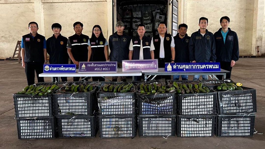 ศุลกากรปราบปรามภาค 2 สกัดจับ'อะโวคาโดเถื่อน'กว่า 3.5 แสนบาทลักลอบขนข้ามโขง