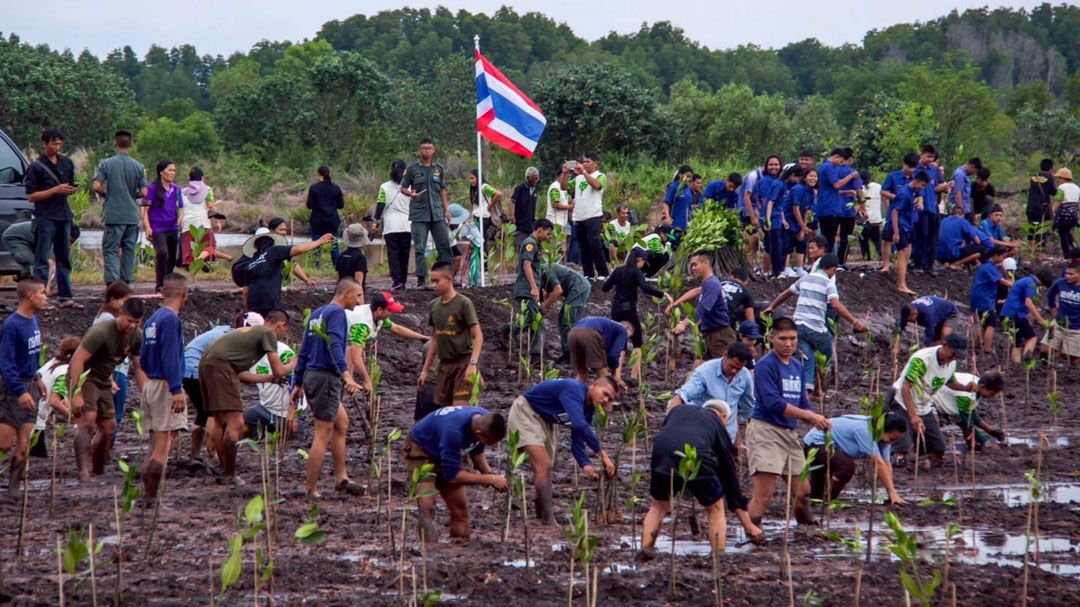 ชวนคนไทยรวมพลังฟื้นฟูป่าชายเลน พร้อมเดินหน้าโครงการ 'Thailand Mangrove Alliance'