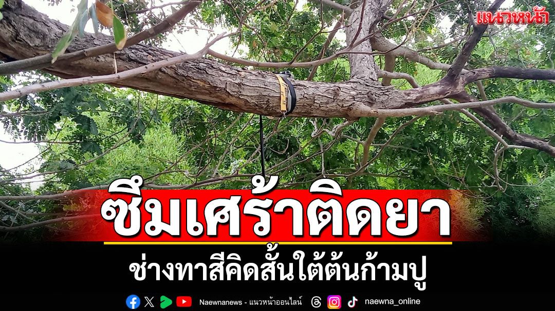 ช่างทาสีป่วยติดยา คิดสั้นผูกคอ ใต้ต้นก้ามปู