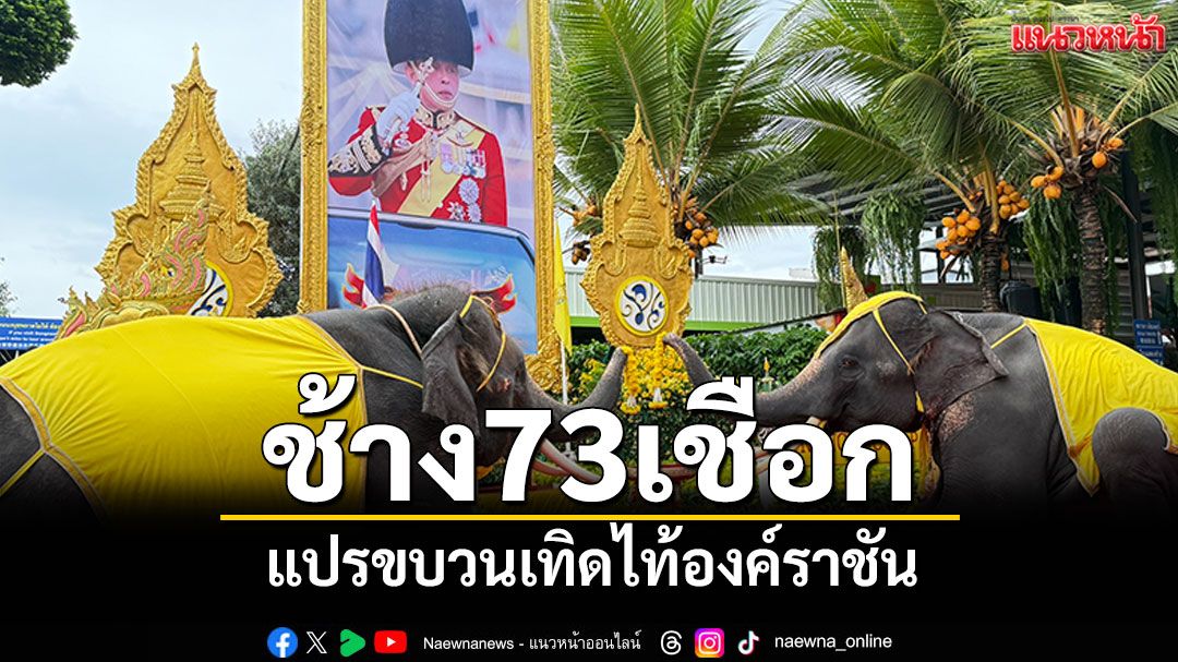ช้าง73เชือก แปรขบวนเทิดไท้องค์ราชัน เฉลิมพระเกียรติพระบาทสมเด็จพระเจ้าอยู่หัว