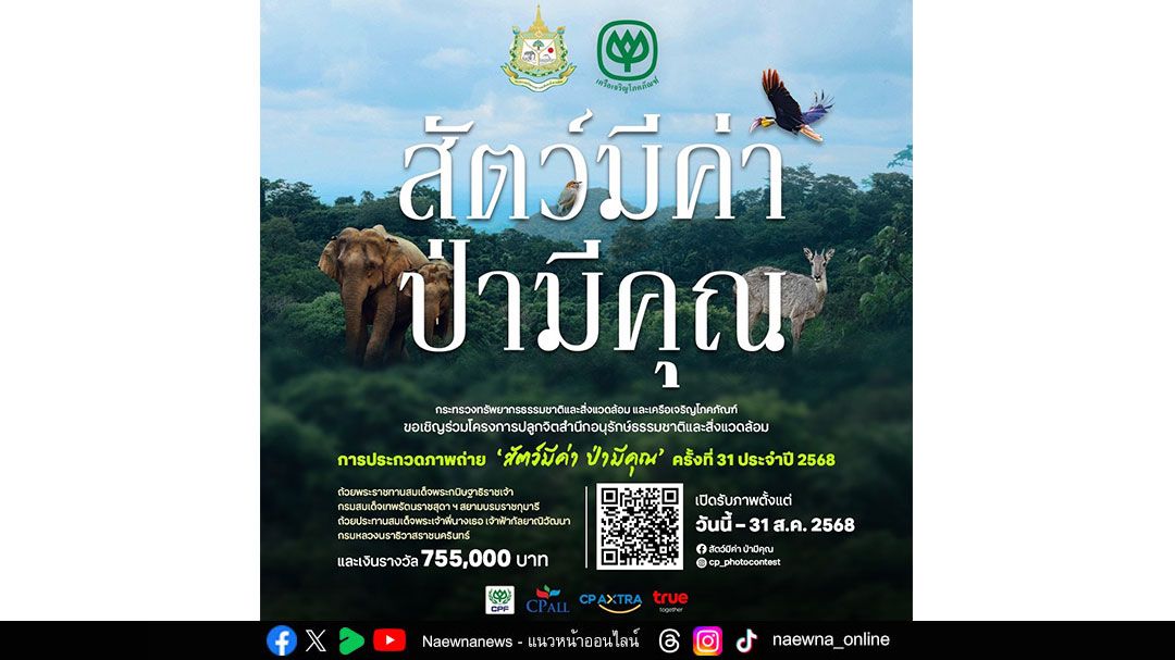 กระทรวงทรัพยากรฯ - เครือซีพี เชิญชวนส่งภาพถ่ายประกวดในโครงการ “สัตว์มีค่า ป่ามีคุณ” ชิงถ้วยพระราชทาน และรางวัลรวมกว่า 7 แสนบาท