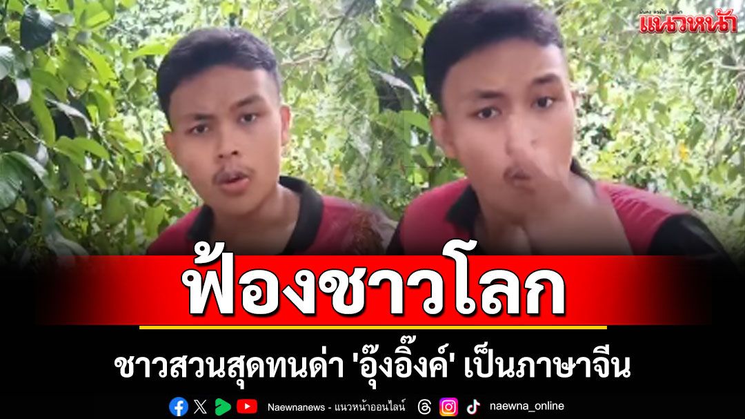 ชาวสวนฟ้องชาวโลก! สุดทนด่า 'อุ๊งอิ๊งค์' เป็นภาษาจีน ไร้น้ำยาแก้ราคาสินค้าเกษตร (คลิป)