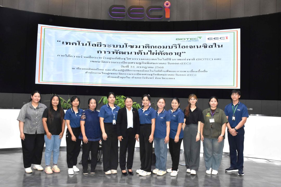 สวทช. เปิดตัว “ไผ่ตัดอายุ” นวัตกรรมยกระดับการปลูกไผ่ไทย