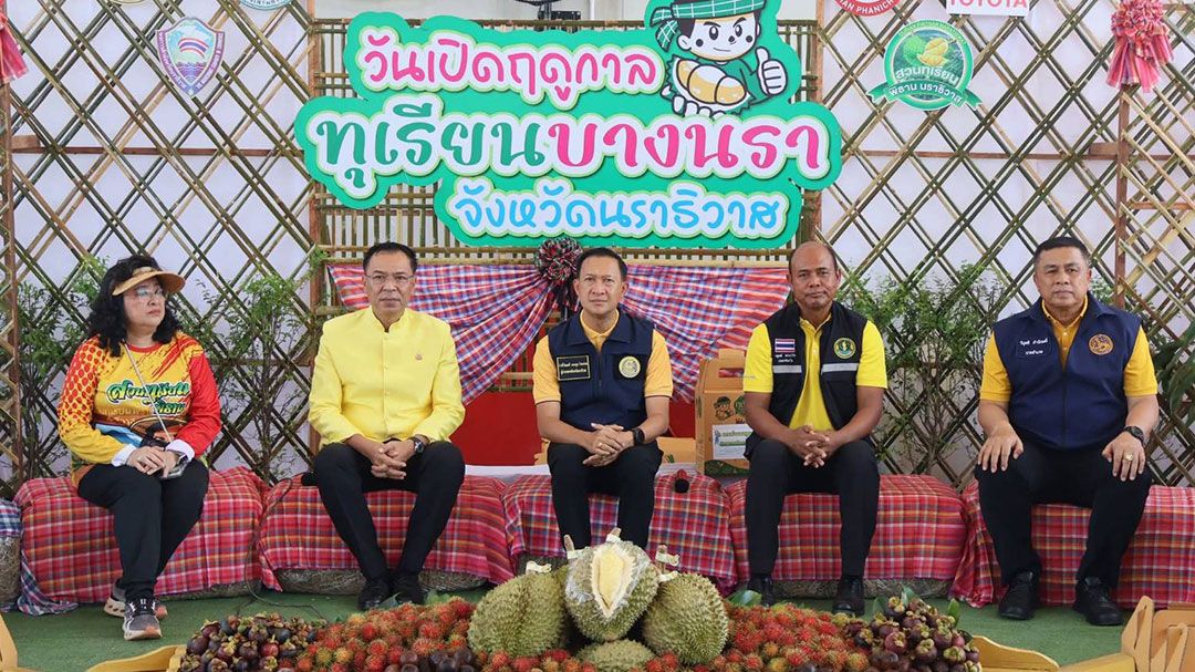 จ.นราธิวาส เปิดฤดูกาลเก็บทุเรียนบางนรา   สร้างภาพลักษณ์ ผลไม้คุณภาพดี ของ จว.