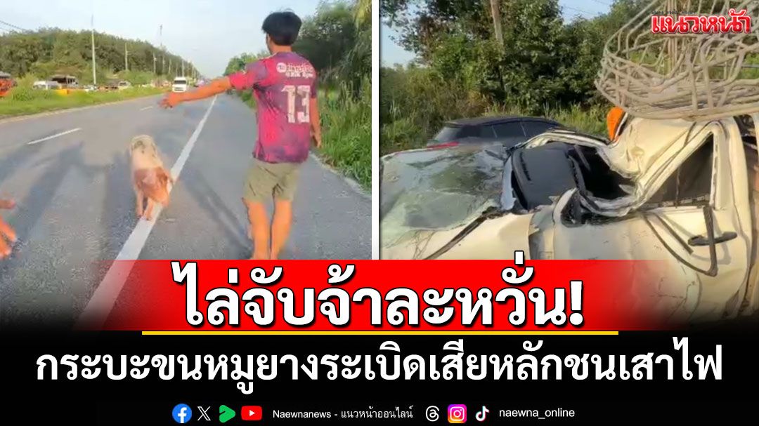 ไล่จับจ้าละหวั่น! กระบะขนหมูยางระเบิดเสียหลักชนเสาไฟ