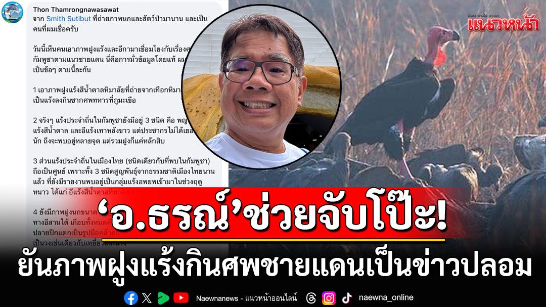 'อ.ธรณ์'จับโป๊ะ! โพสต์แฉภาพฝูงแร้งกินศพชายแดนไทย-กัมพูชา เอารูปแร้งหิมาลัยมามั่วนิ่ม