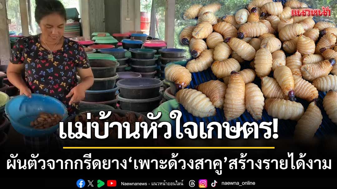 แม่บ้านหัวใจเกษตร! ผันตัวจากกรีดยาง 'เพาะด้วงสาคู' ครองแชมป์ฟาร์มใหญ่สุดในตรัง