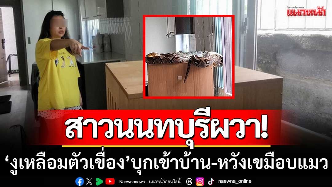 สาวนนทบุรีผวา! ‘งูเหลือมตัวเขื่อง’ บุกเข้าบ้าน-หวังเขมือบแมวที่เลี้ยงไว้