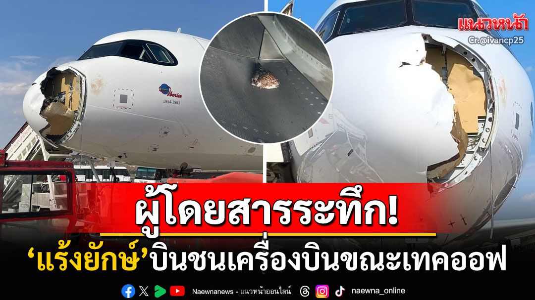 แตกตื่นทั้งลำ! 'แร้งยักษ์'บินชนเครื่องบินขณะเทคออฟ ทำเรดาร์ตรวจอากาศแตกกระจาย