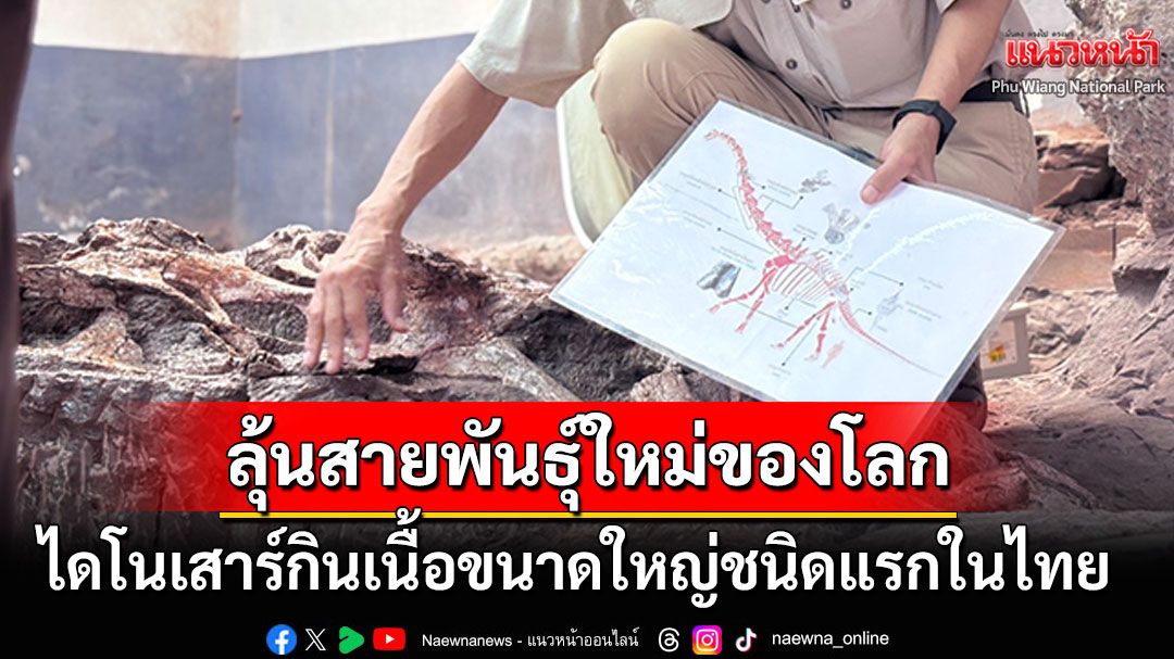 ไทยตื่น! ขุดพบไดโนเสาร์ตัวที่ 6 'สยามโมซอรัส สุธีธรนี' ลุ้นเป็นสายพันธุ์ใหม่ของโลก