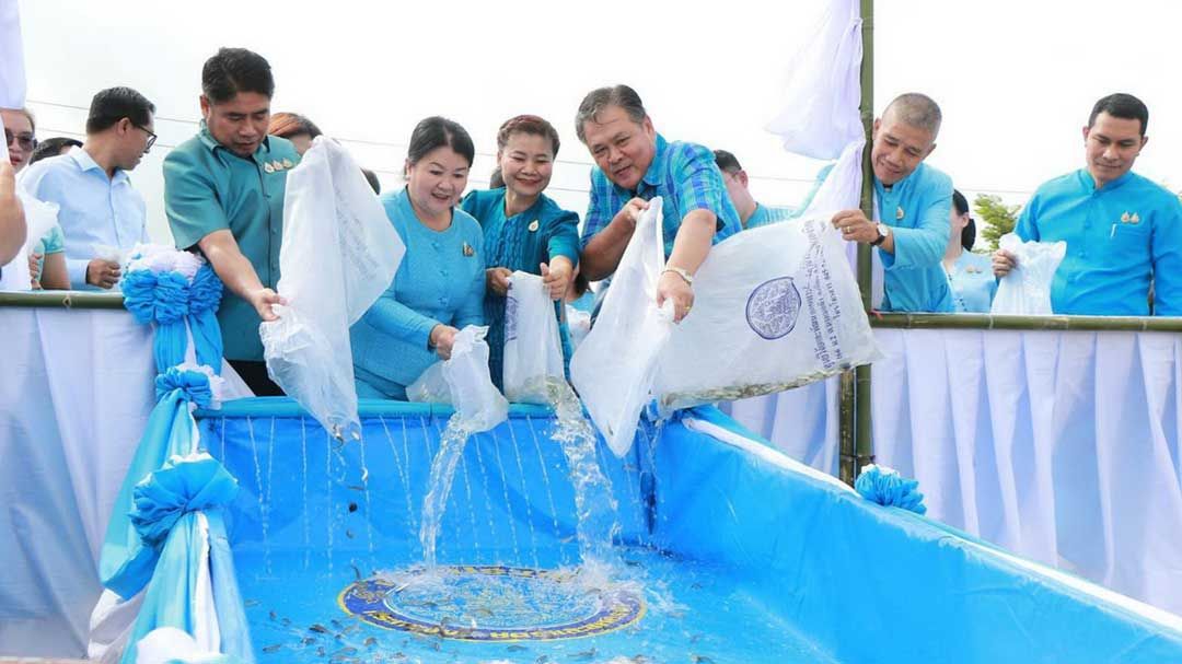 ประมงอำนาจเจริญ 'ปล่อยพันธุ์สัตว์น้ำ' เนื่องในโอกาส 'วันแม่แห่งชาติ'