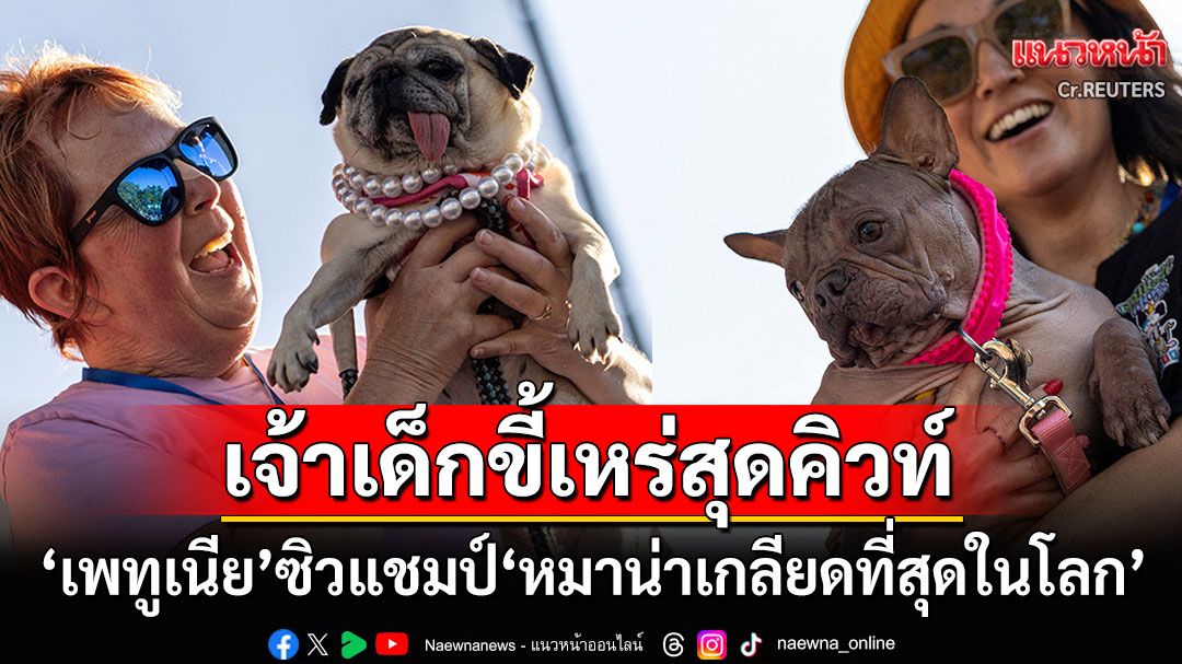 ขี้เหร่จนได้ใจกรรมการ! 'เจ้าเพทูเนีย'ซิวแชมป์'สุนัขที่น่าเกลียดที่สุดในโลก'