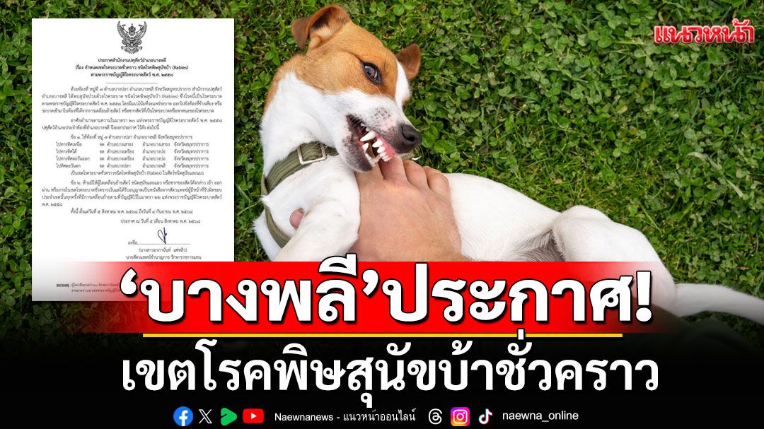 ปศุสัตว์บางพลี ประกาศเขตโรคพิษสุนัขบ้าชั่วคราว ห้ามเคลื่อนย้าย'สุนัข-แมว'โดยไม่ได้รับอนุญาต