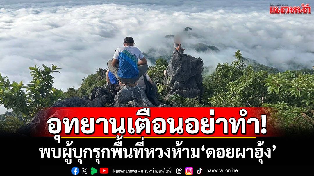 อุทยานเตือนอย่าทำ! พบผู้บุกรุกพื้นที่หวงห้าม'ดอยผาฮุ้ง' อุทยานแห่งชาติถ้ำหลวงฯ เชียงราย