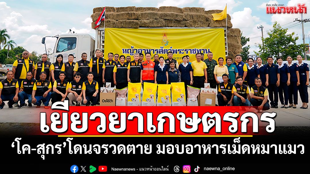 จ่ายเงินเยียวยาเกษตรกร 'โค-สุกร'โดนจรวดตาย มอบอาหารเม็ดช่วยหมาแมว