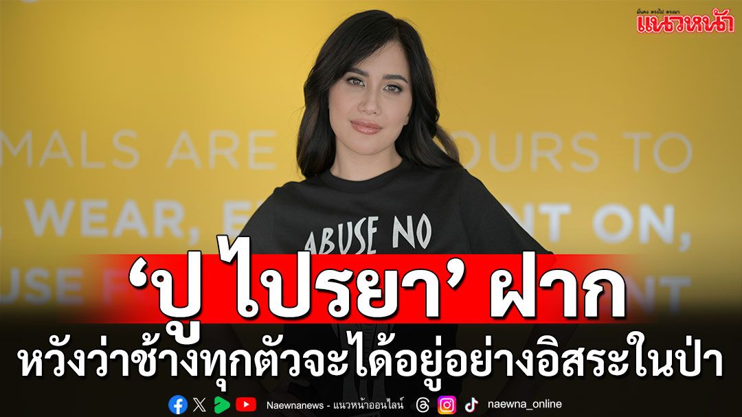 ‘ปู ไปรยา’ แท็กทีม ‘พีต้า’ เรียกร้องปล่อยช้างที่ถูกขังและทารุณในอุตสาหกรรมท่องเที่ยว