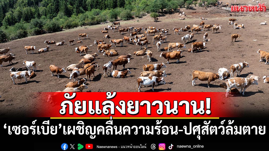 ภัยแล้งยาวนาน! 'เซอร์เบีย'เผชิญคลื่นความร้อน ปศุสัตว์ล้มตาย