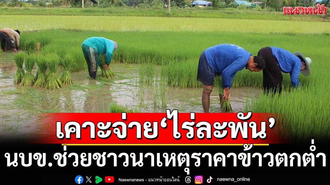 ‘นบข.’เคาะจ่าย‘ไร่ละพัน’ทั้งข้าวนาปรัง-นาปี ช่วยชาวนาเหตุราคาตกต่ำ