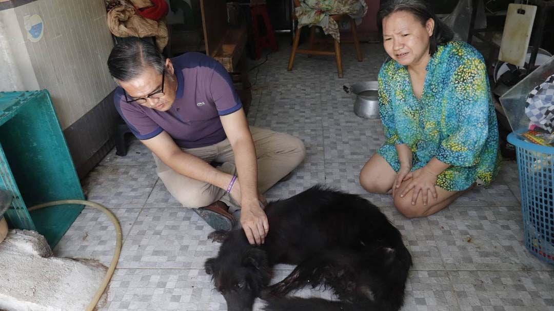 ‘เลขาTSPCA’ช่วยเหลือสัตว์ขาดเจ้าของดูแล เหตุกระทำผิดกฎหมาย