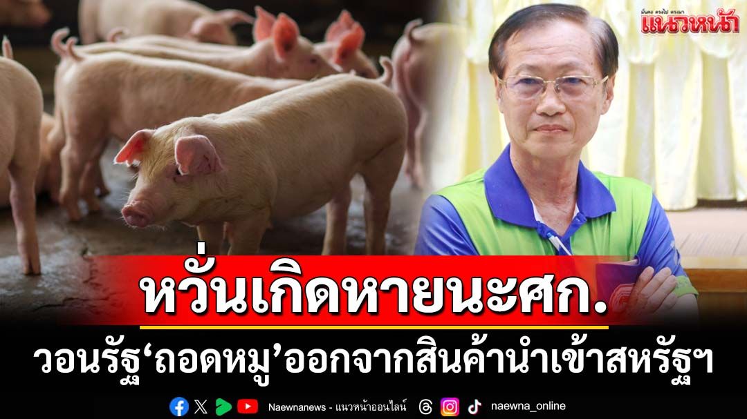 ‘ผู้เลี้ยงหมูอีสาน’วอนรัฐ‘ถอดหมู’ออกจากบัญชีสินค้านำเข้าสหรัฐฯ หากไฟเขียวหวั่นเกิดหายนะ