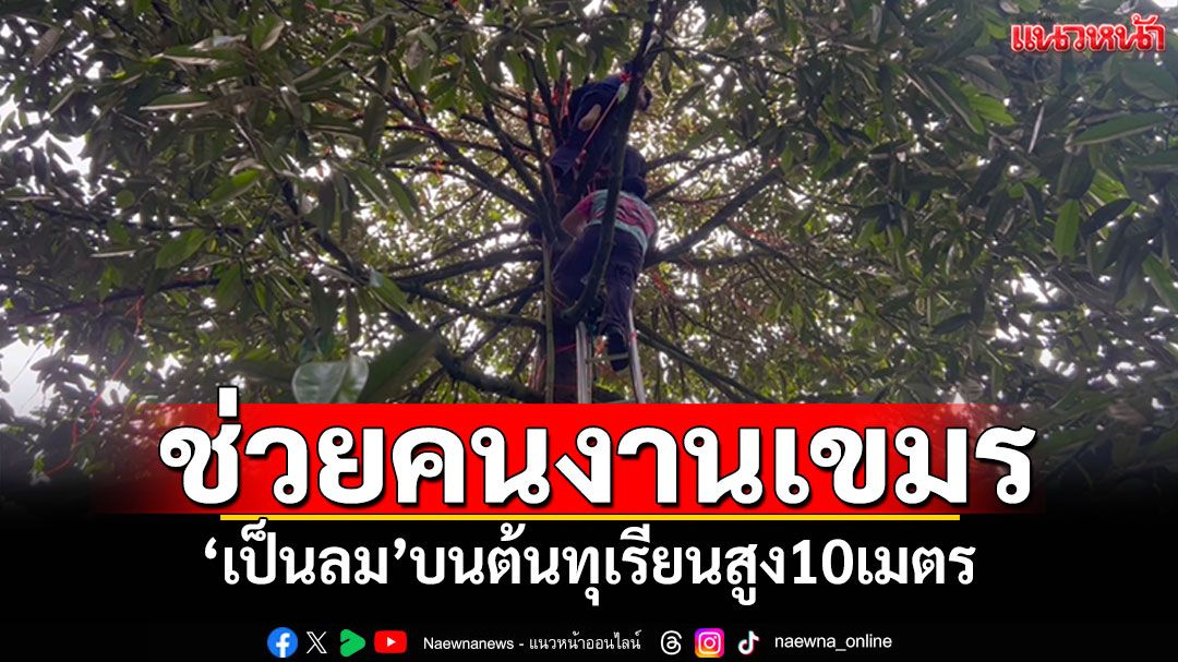 กู้ภัยช่วยระทึก! 'คนงานเขมร'เป็นลมบนต้นทุเรียนสูง10เมตร