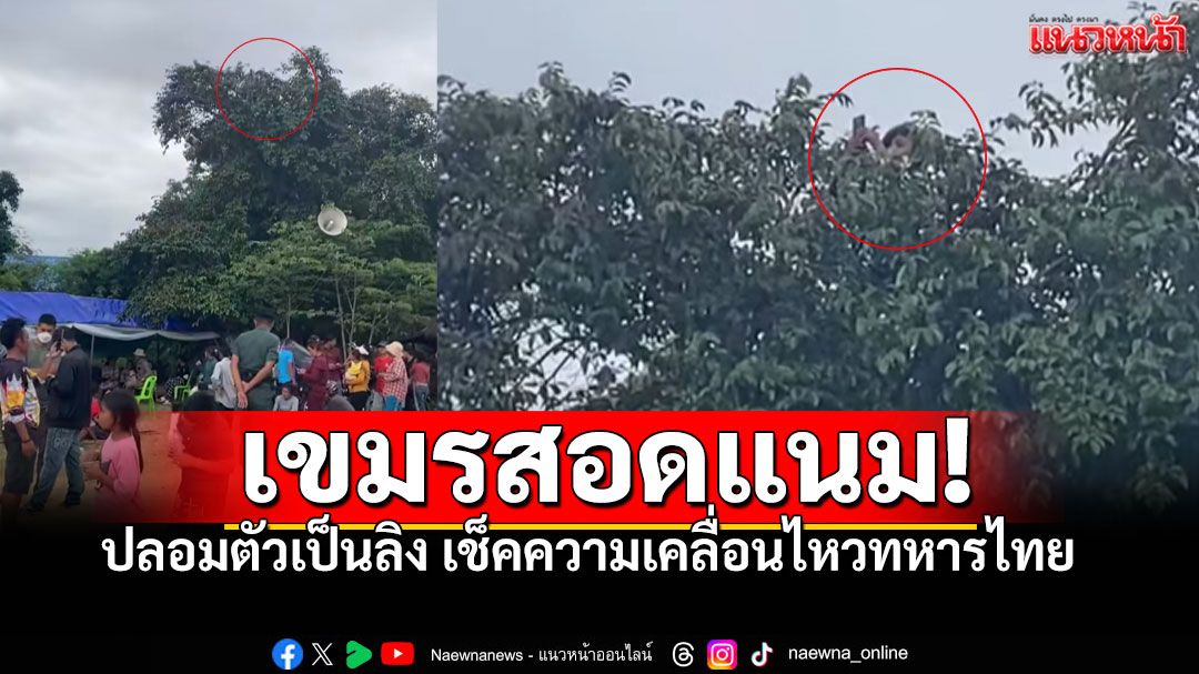 เขมรปลอมตัวเป็นลิง ปีนขึ้นยอดต้นไม้ สอดแนมความเคลื่อนไหวทหารไทย