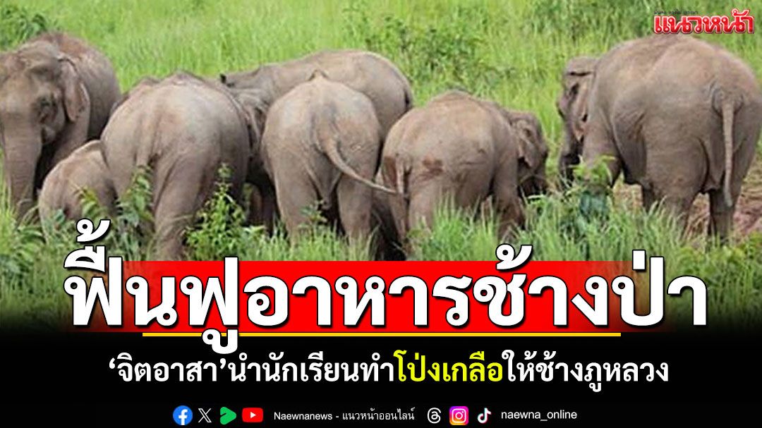 'จิตอาสา'นำนักเรียนภาคประชาชน ทำโป่งเกลือให้ช้างป่าภูหลวง