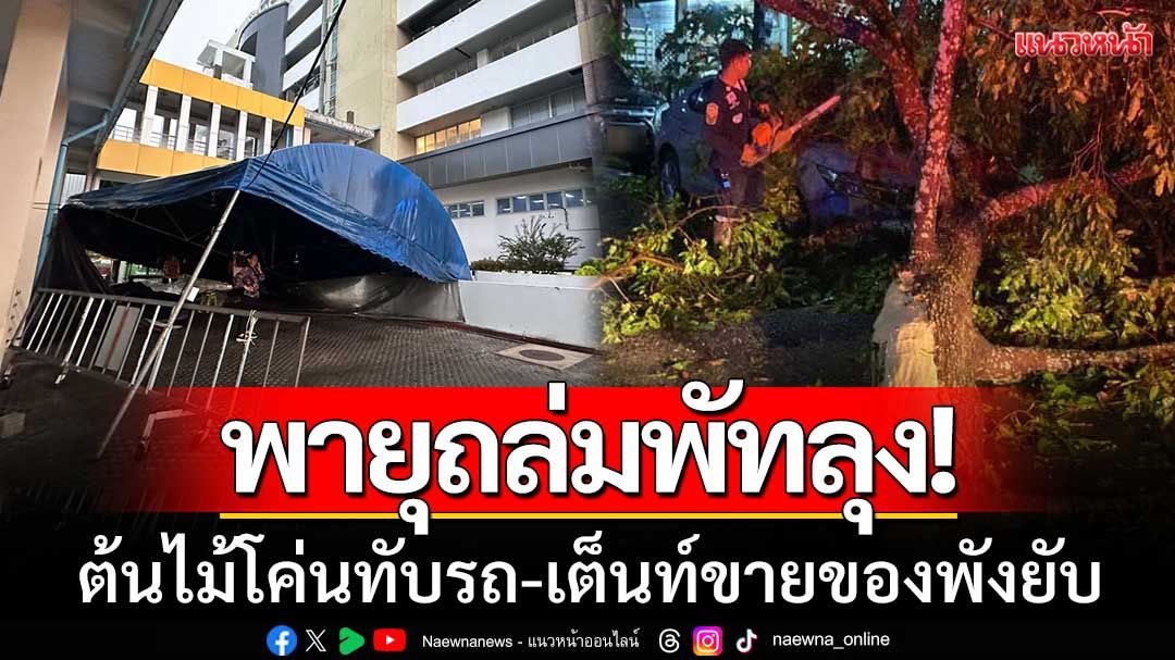 พายุถล่มพัทลุง! ต้นไม้โค่นทับรถ เต็นท์ขายของพังยับ น้ำท่วมฉับพลันทั่วเมือง