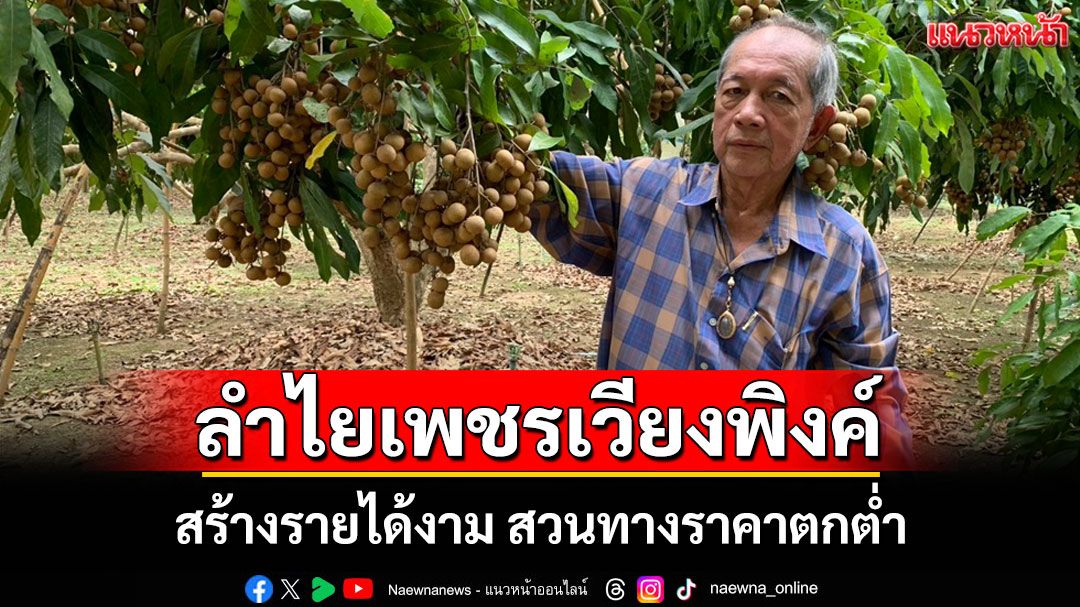 ออกแล้วลำไย GAP เมืองตรัง เนื้อใส ลูกใหญ่ สร้างรายได้งาม สวนทางราคาตกต่ำ