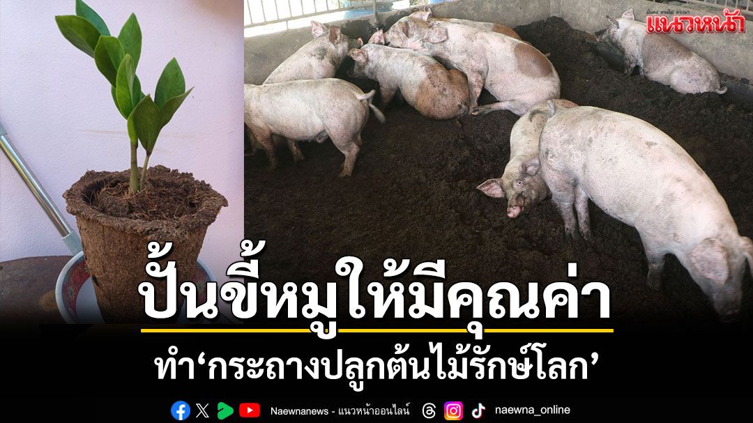 เปลี่ยน'ขี้หมู'ให้มีมูลค่า นำมาปั้นเป็น'กระถางปลูกต้นไม้รักษ์โลก'ที่ย่อยสลายได้เอง