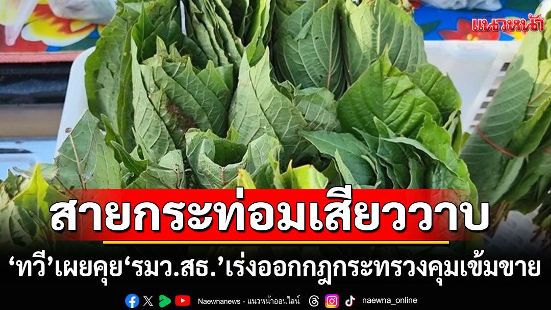 สายกระท่อมเสียววาบ! 'ทวี'ยอมรับส่อเป็นปัญหาสังคม เผยคุย'รมว.สธ.'เร่งออกกฎกระทรวงคุมเข้มขาย