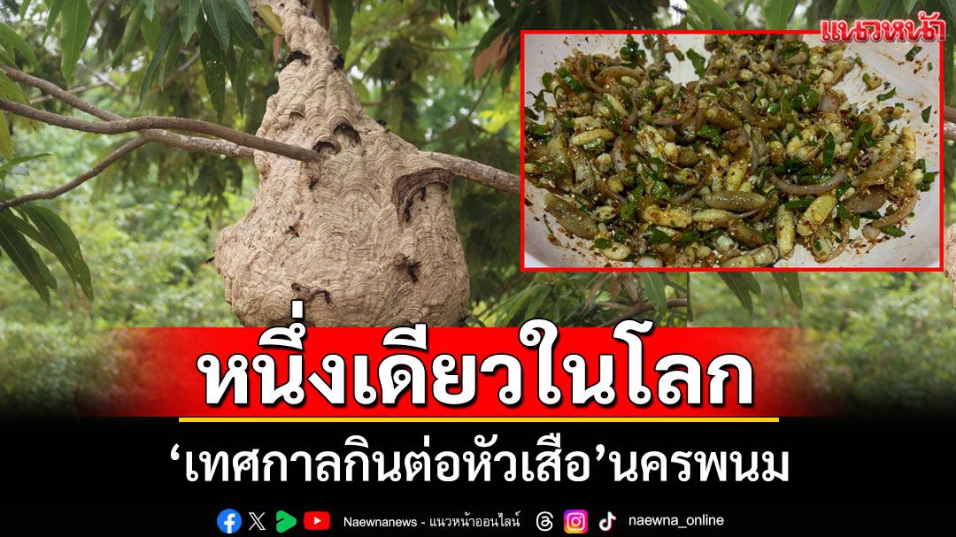 'อบต.กุตาไก้'เตรียมจัดเทศกาล'กินต่อหัวเสือ'ประกวดเมนูอาหารแปลกเปิบพิสดาร