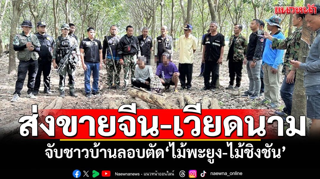 จับชาวบ้านลอบตัด'ไม้พะยูง-ไม้ชิงชัน' ส่งขาย'จีน-เวียดนาม'ราคาดี