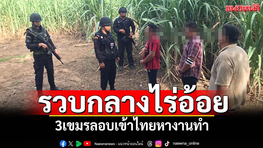 3เขมรหนีอดตาย ลอบเข้าไทยหางานทำ ทหารพรานรวบคาไร่อ้อย