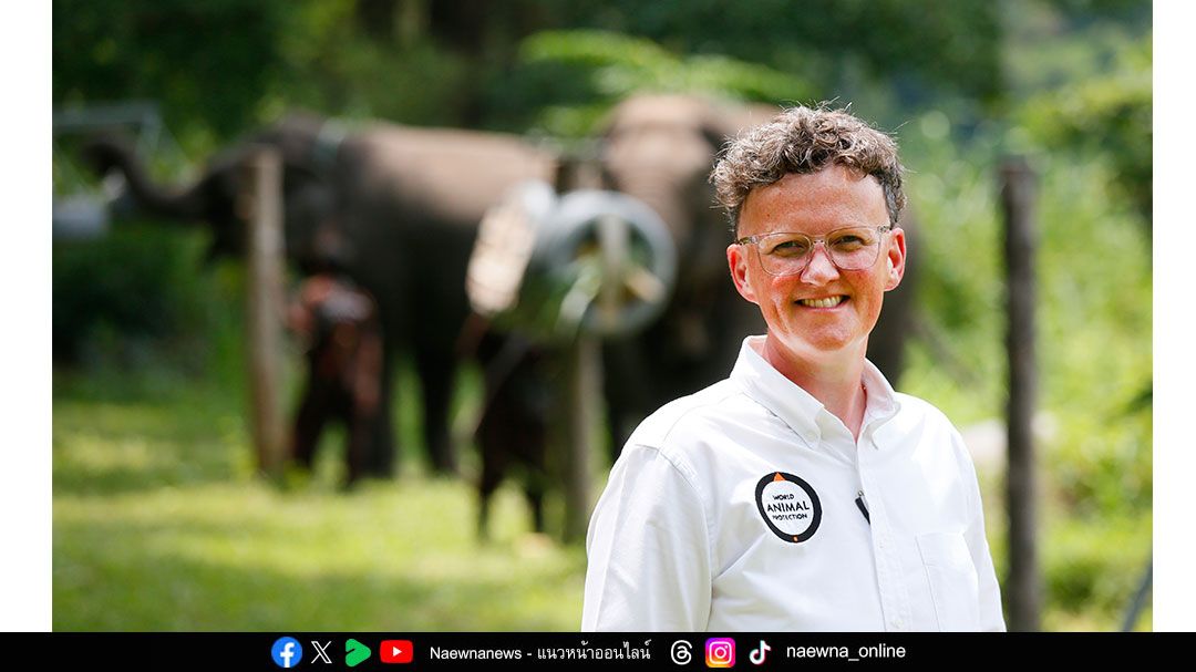 จากสัตว์ตัวแรก... สู่พันล้านชีวิต World Animal Protection 75 ปีที่เราไม่ทิ้งกัน