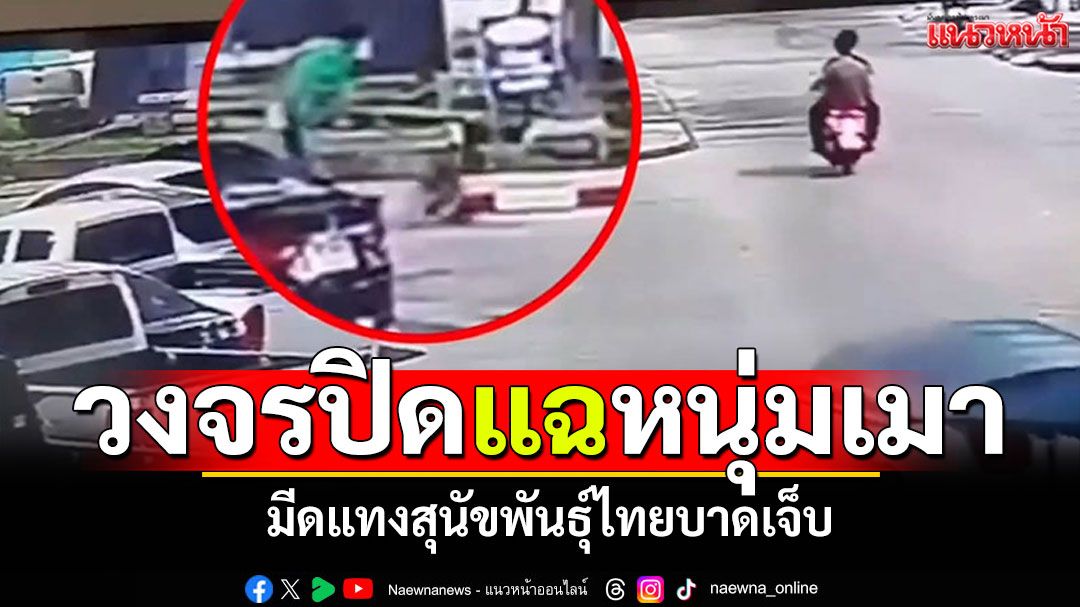 วงจรปิดแฉหนุ่มเมา! มีดแทง'น้องเซเว่น' สุนัขพันธุ์ไทยบาดเจ็บ