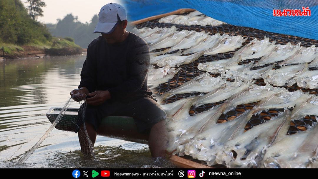 เชื่อม ‘คน’..กับสายน้ำ ‘ปลาตากแห้งลุ่มน้ำสงคราม’ ‘ภูมิปัญญา – วิถีชีวิต’ เส้นเลือดหล่อเลี้ยงชุมชน