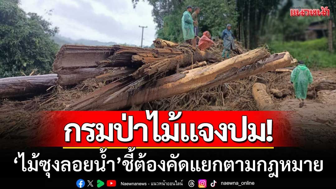 กรมป่าไม้แจงปม 'ไม้ซุงลอยน้ำ' ที่แม่ฮ่องสอน-ชี้ต้องคัดแยกตามกฎหมาย