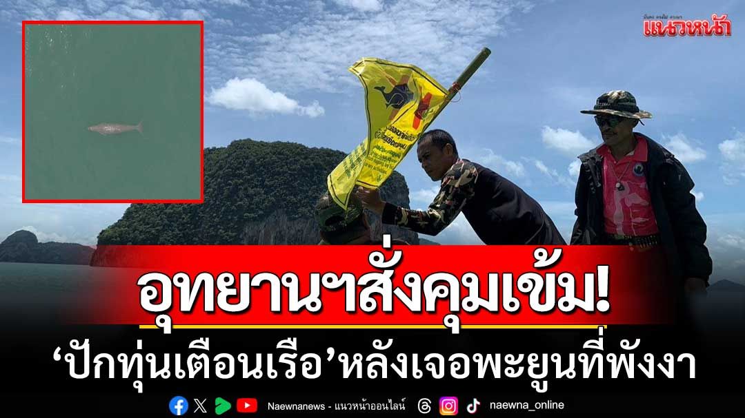 เจอพะยูนที่พังงา! อุทยานฯสั่งคุมเข้ม ‘ปักทุ่นเตือนเรือ-ปกป้องแหล่งหากิน’