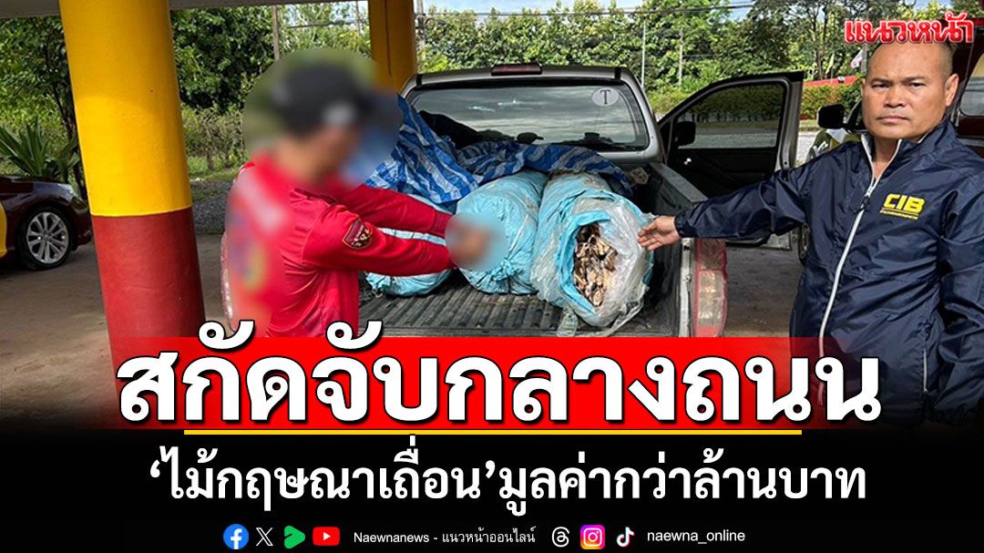สกัดจับกลางถนน! 'ไม้กฤษณาเถื่อน'หนัก110.3กก. มูลค่ากว่าล้านบาท