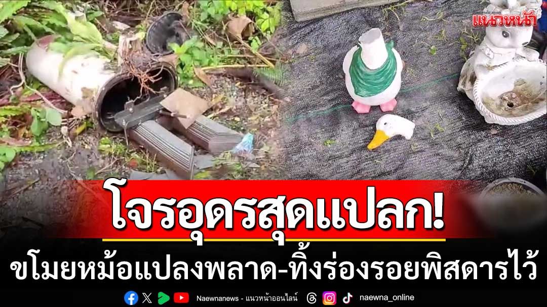 โจรสุดพิสดาร! ขโมยหม้อแปลงพลาดตกใส่หลังคา-ก่อนแก้เคล็ด ‘หักคอเป็ด-หางพญานาค’