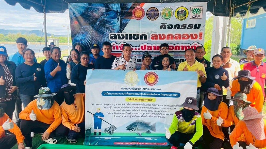 สกู๊ปพิเศษ : ประมงเพชรบุรี จับมือร่วมแรงชุมชน  จัดการ “ปลาหมอคางดำ” อย่างต่อเนื่อง