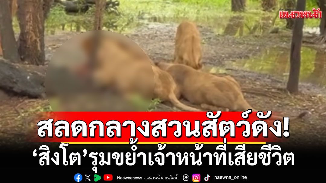 สุดสลด! 'สิงโต'สวนสัตว์ดัง รุมขย้ำเจ้าหน้าที่