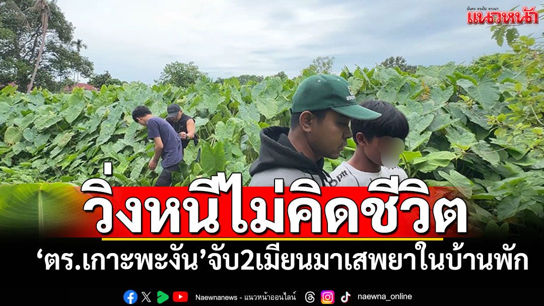 ตร.เกาะพะงันจับ2เมียนมา เสพยาบ้าในบ้านพัก วิ่งหนีไม่คิดชีวิต
