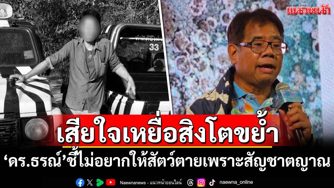 'ดร.ธรณ์'เสียใจเหยื่อสิงโตขย้ำดับ ชี้ไม่อยากให้สัตว์ตายเพราะสัญชาตญาณ